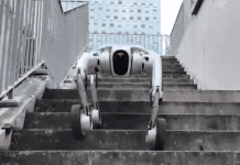From Smooth Floors to Stairwells: A New Kind of Robot Mobility Image from Pudu Robotics on YouTube
