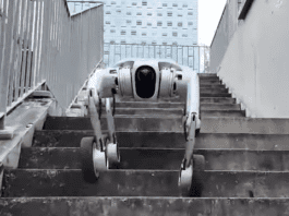 From Smooth Floors to Stairwells: A New Kind of Robot Mobility Image from Pudu Robotics on YouTube