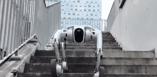 From Smooth Floors to Stairwells: A New Kind of Robot Mobility Image from Pudu Robotics on YouTube