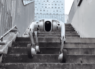 From Smooth Floors to Stairwells: A New Kind of Robot Mobility Image from Pudu Robotics on YouTube