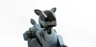 Robot Dogs Set to Patrol Major Sporting Event