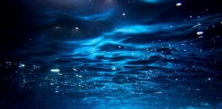 כיצד בינה מלאכותית ורחפנים תת־ימיים הופכים את הימים לבטוחים יותר