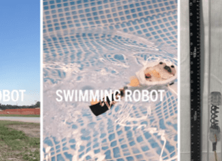 One Simple Physics Trick Powers These Shape-Shifting Robots Image from Clemson Engineering, Computing and Applied Sciences on YouTube