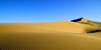 The Desert Rubber That’s Quietly Powering Next-Gen Defense Tech