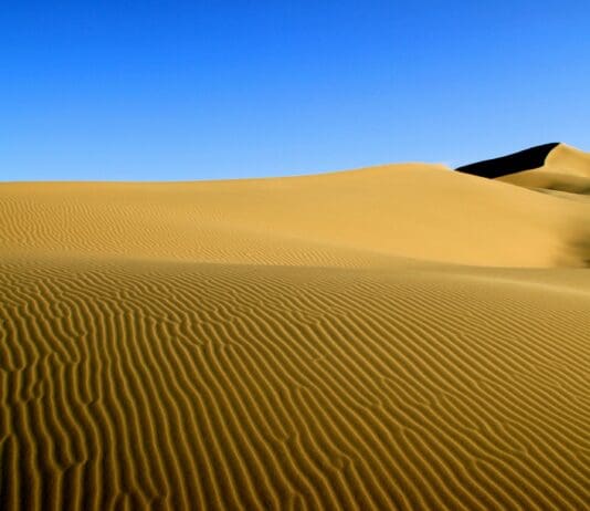 The Desert Rubber That’s Quietly Powering Next-Gen Defense Tech