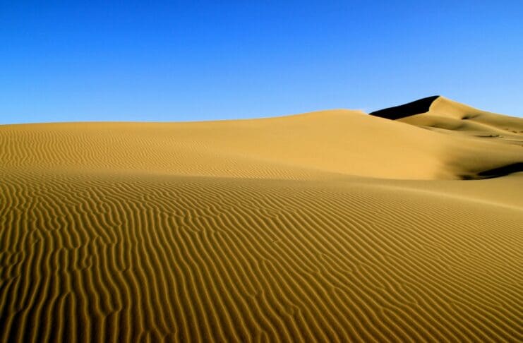 The Desert Rubber That’s Quietly Powering Next-Gen Defense Tech