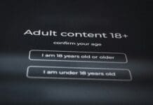 Are Online Age Verification Tools Really Secure?