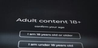 Are Online Age Verification Tools Really Secure?