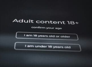 Are Online Age Verification Tools Really Secure?