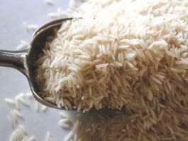 From Kitchen Staple to Combat Shield: How Rice Could Reinvent Protective Gear