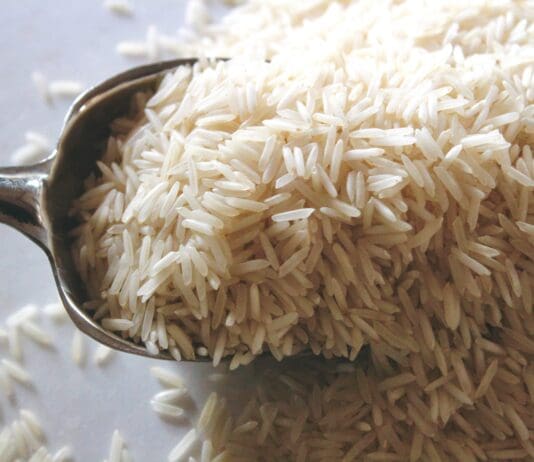 From Kitchen Staple to Combat Shield: How Rice Could Reinvent Protective Gear