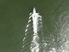 Breaking the Limits of Subsea Endurance Image from Cellula Robotics on YouTube