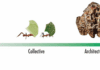 Tiny Robots, Big Coordination: Learning From Ants Image from Harvard John A. Paulson School of Engineering and Applied Sciences on YouTube