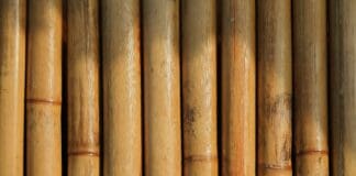 Can Bamboo Replace Carbon Fiber in Drones? New Tech Says Yes