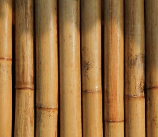 Can Bamboo Replace Carbon Fiber in Drones? New Tech Says Yes