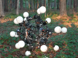 This Robot Has No Front, No Back — and That’s the Point Image from General Robotics Lab on YouTube