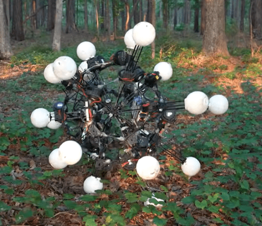 This Robot Has No Front, No Back — and That’s the Point Image from General Robotics Lab on YouTube