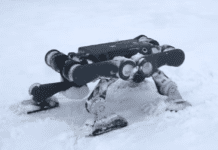 Meet the Robot Dog Built to Survive Arctic Ice and Freezing Water Image from DEEP Robotics on YouTube