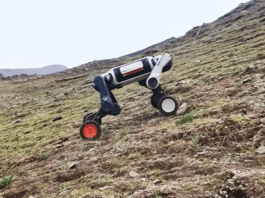 כלב הרובוט הזה חוצה נהרות, מטפס על הרים ומתמודד עם קור קיצוני Image from DEEP Robotics on YouTube