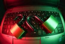 Geese, Mongooses, and AI Team Up to Protect Modern Networks
