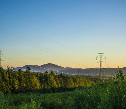 Forget Drones—These Robot Snakes Inspect Power Lines From the Inside Track