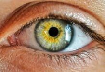 A New Vision Sensor Mimics the Human Eye to Prevent Robotic Blindness
