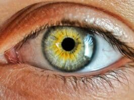 A New Vision Sensor Mimics the Human Eye to Prevent Robotic Blindness