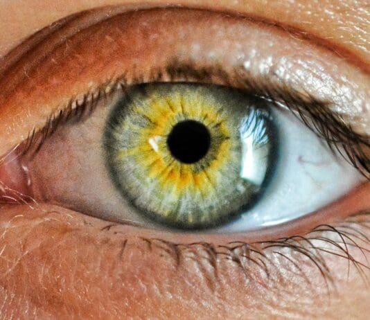 A New Vision Sensor Mimics the Human Eye to Prevent Robotic Blindness