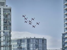 Israeli Startup Raises $36 Million to Develop a Counter-Drone Swarm System