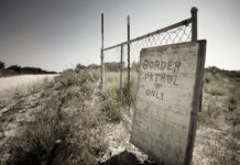 This Intelligent Network Gives Border Forces a New Weapon Against Drones