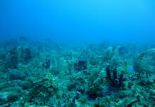 New Drone System Finds Underwater Explosives Hidden for Decades