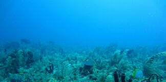 New Drone System Finds Underwater Explosives Hidden for Decades