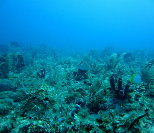New Drone System Finds Underwater Explosives Hidden for Decades