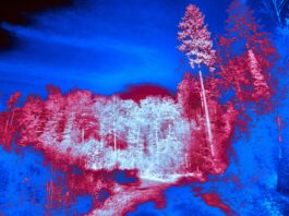 This AI Surveillance Tool Can Detect, Classify, and Track Threats in Real Time