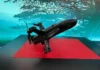 Ukraine Unveils Faster Drone Hunter for Shahed Attacks Image by Wikimedia (Creative Commons)