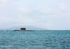 This Skin-Cell-Sized Sensor Could One Day Help Detect Submarines