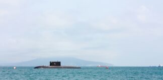 This Skin-Cell-Sized Sensor Could One Day Help Detect Submarines