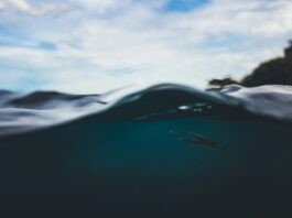 A New Submarine Drone Is Built to Patrol Where GPS Can’t Reach