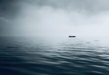 These Floating Gun Platforms Are Built to Guard Ports From Drones
