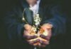 Building Tech for Two Worlds? INNOFENSE Is Looking for Dual-Use Startups