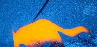 Tiny Thermal Sensors Could Give Military Drones Much Better Night Vision