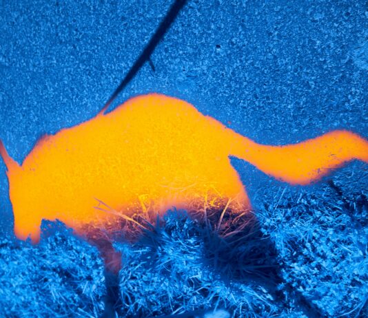Tiny Thermal Sensors Could Give Military Drones Much Better Night Vision