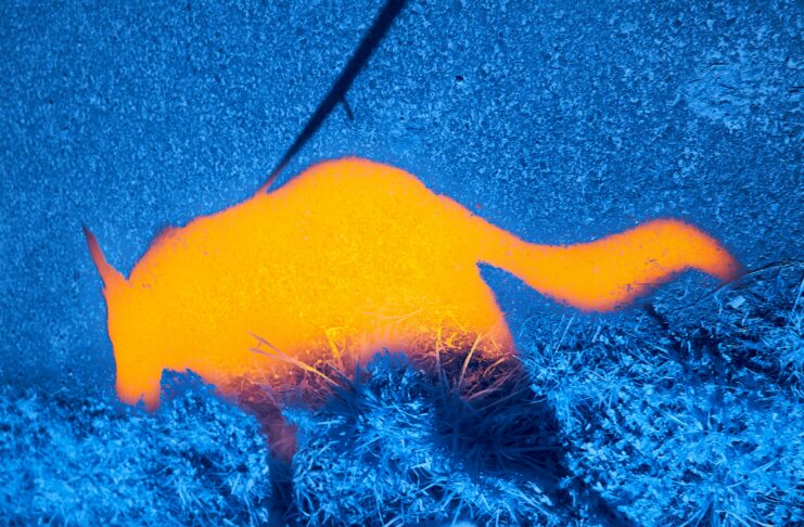 Tiny Thermal Sensors Could Give Military Drones Much Better Night Vision
